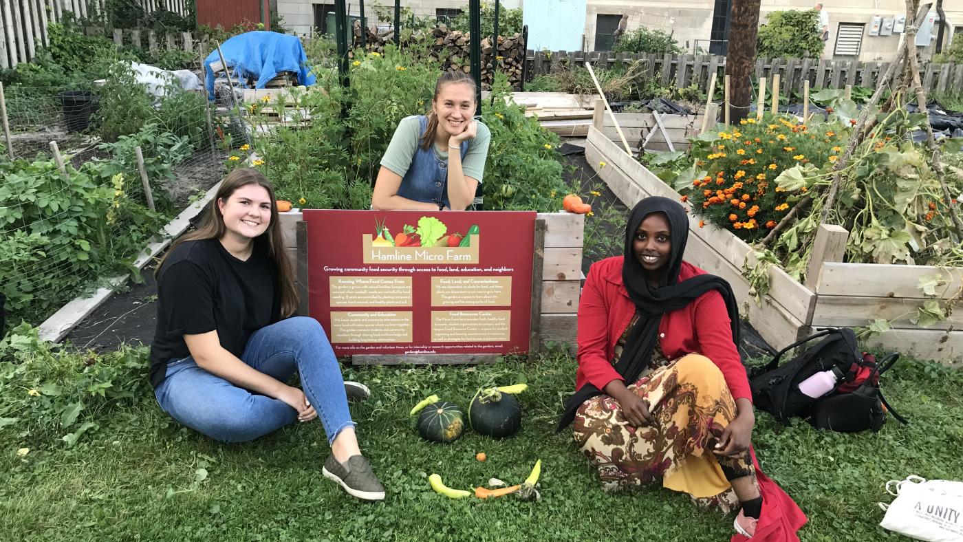 Hamline MicroFarm