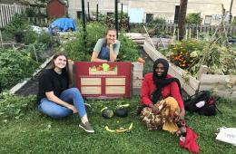 Hamline MicroFarm