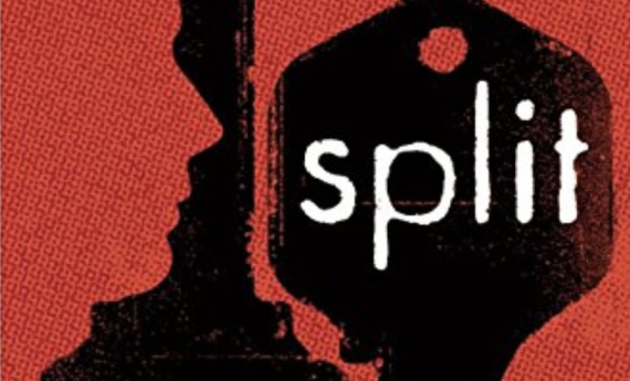 Split, by MFAC faculty member Swati Avasthi 