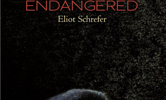 Endangered, by MFAC faculty Eliot Schrefer