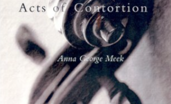 Acts of Contortion, by MFA faculty Anna George Meek