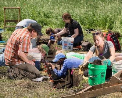 A professor and students dig into the ground to search for artifacts