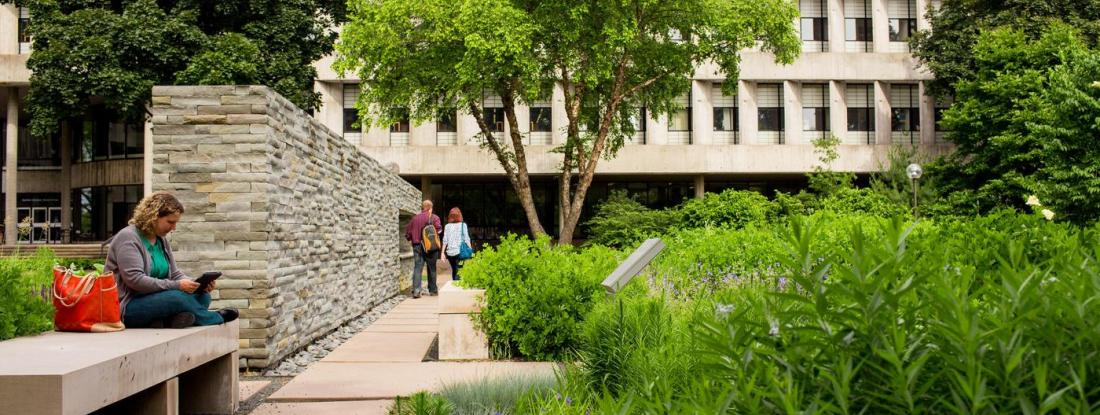 Outside on Hamline campus, with greenery and a student studying on a bench