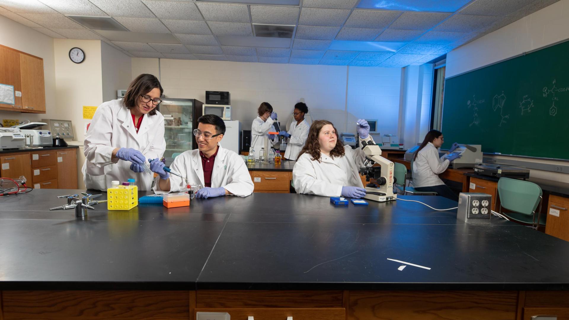 students and professors at Hamline