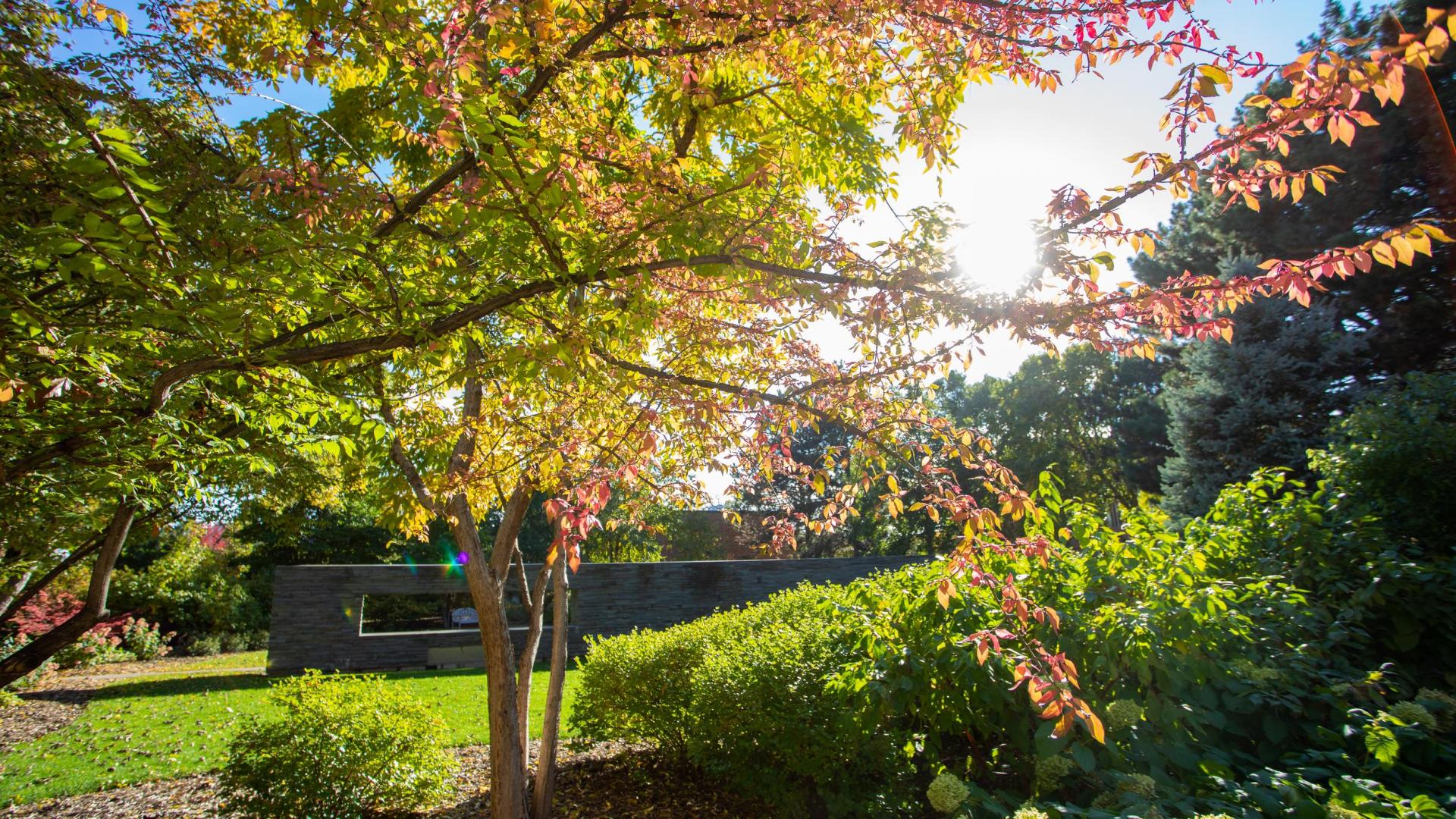 Blue Garden in fall